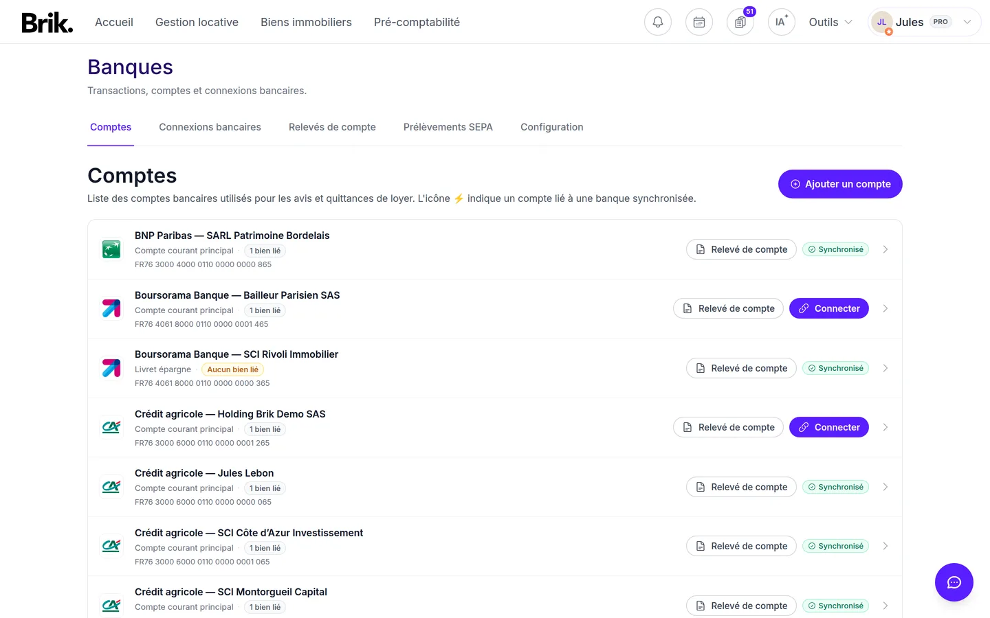 Onglet Comptes de Brik avec un compte par structure